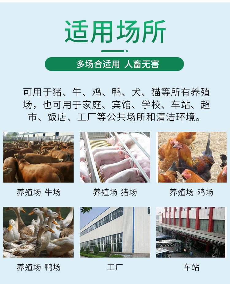 殺蟲餌粒(絕影)3